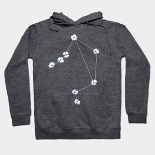 libra zodiac sign Hoodie